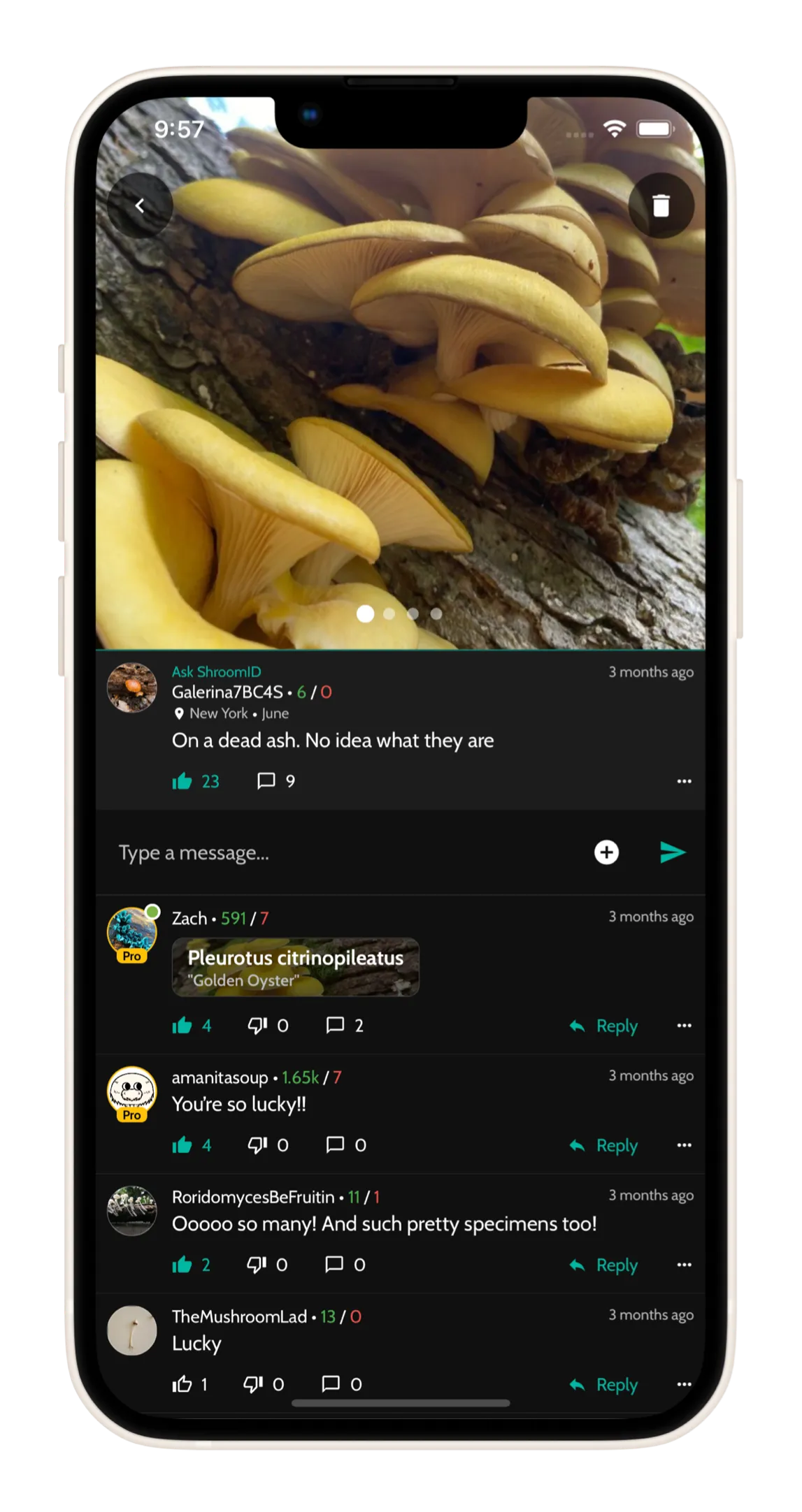 Help from real humans